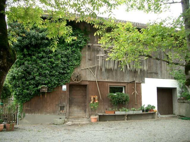 Hotel Gasthaus Schaefle Bürserberg Exteriér fotografie